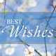 01 Best Wishes - eCard combo